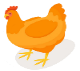 Avícola
