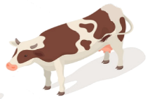 Ganado bovino